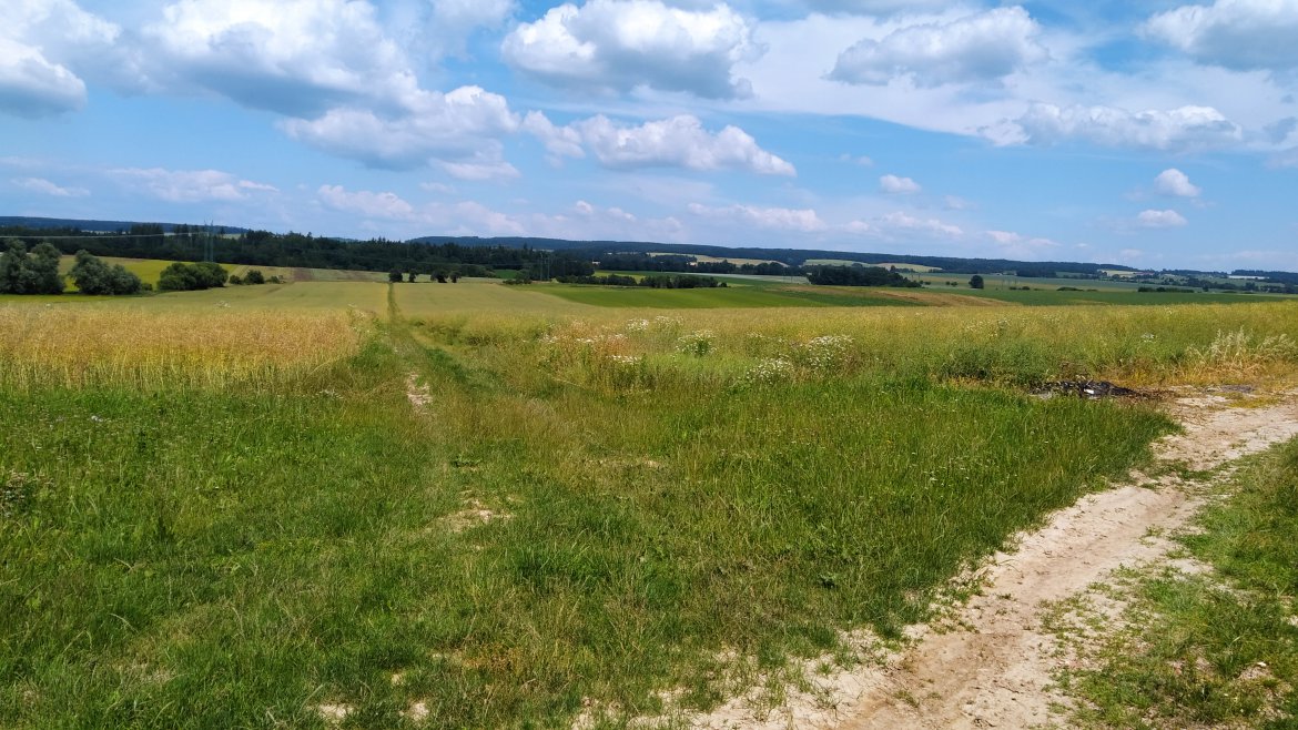 Od lavičky nad Žiďákem přes Kornice, Podrybník a Suchou na Veselku