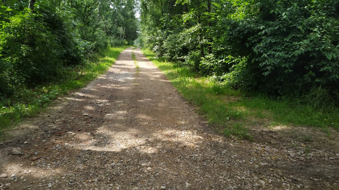 Od lavičky nad Žiďákem přes Kornice na Sedliště, Končiny, zpátky ke Kornicím a přes Podrybník ke kravínu