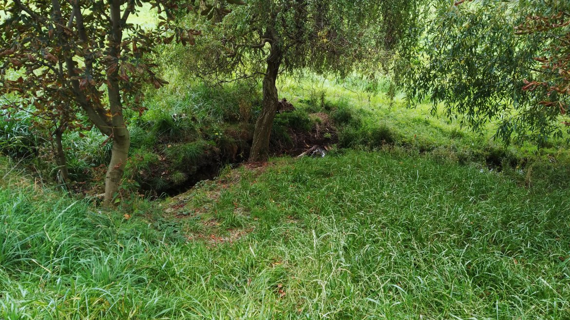 Ze Šibeňáku okolo Portlíkovy studánky