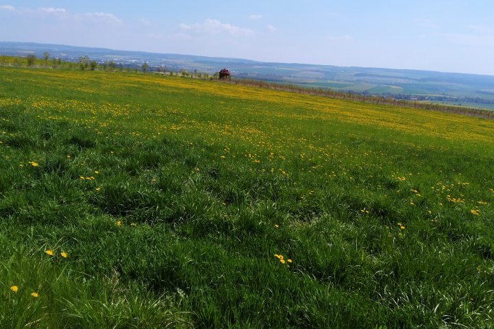 Z Vendolí přes Vyhlídkový altán a Vodárenský les do Svitav